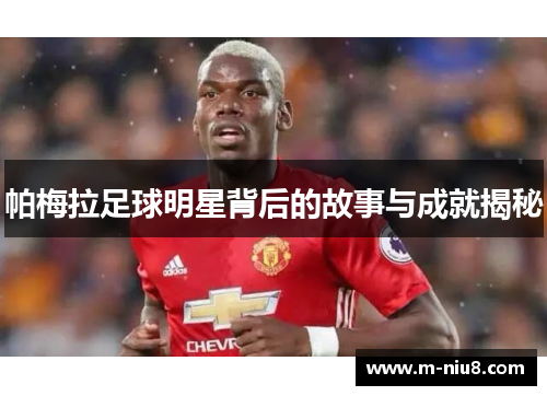 帕梅拉足球明星背后的故事与成就揭秘