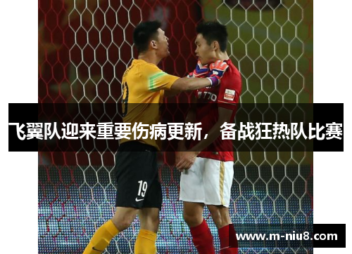飞翼队迎来重要伤病更新，备战狂热队比赛