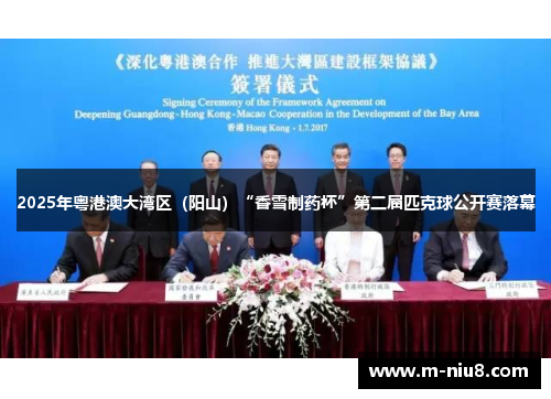 2025年粤港澳大湾区（阳山）“香雪制药杯”第二届匹克球公开赛落幕